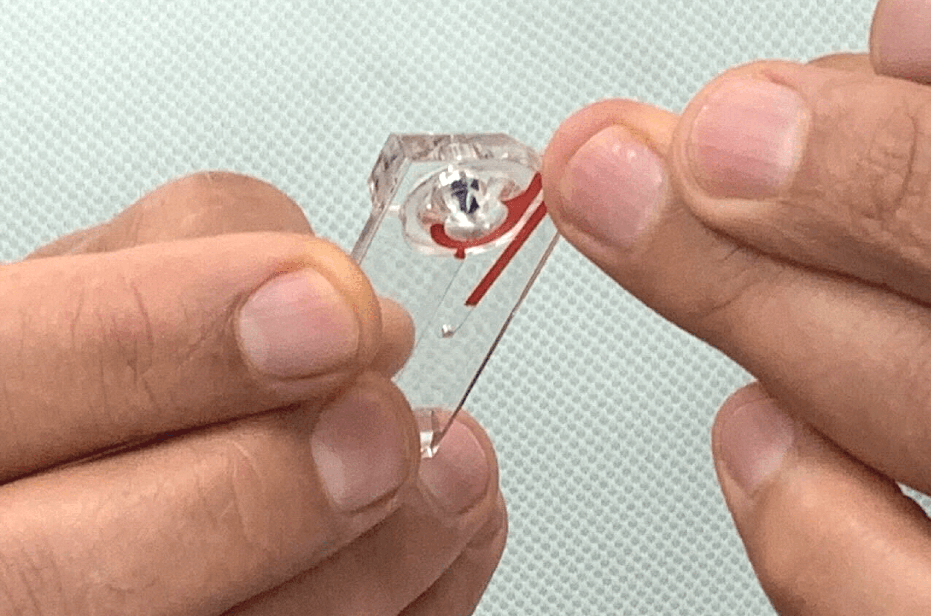 Efa-Technologies RevDx – Complete Blood Count (CBC)