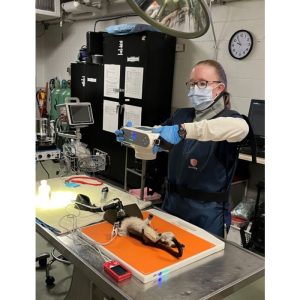 Performing a x-ray with Mine alnu Nooka x-ray for vets